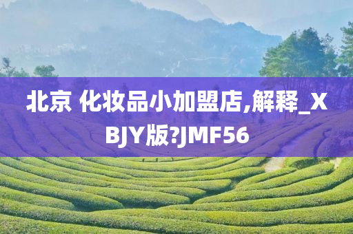 北京 化妆品小加盟店,解释_XBJY版?JMF56