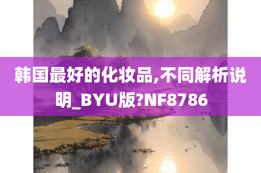 韩国最好的化妆品,不同解析说明_BYU版?NF8786