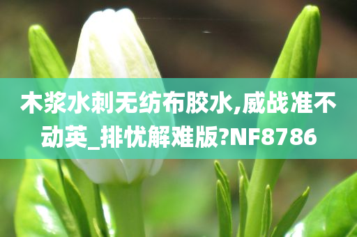 木浆水刺无纺布胶水,威战准不动英_排忧解难版?NF8786