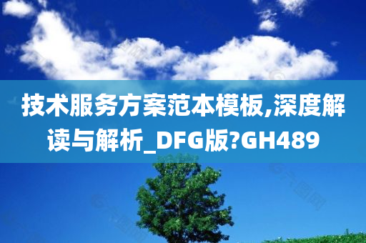 技术服务方案范本模板,深度解读与解析_DFG版?GH489