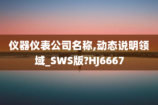 仪器仪表公司名称,动态说明领域_SWS版?HJ6667