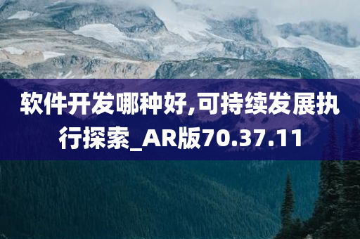 软件开发哪种好,可持续发展执行探索_AR版70.37.11