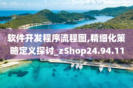 软件开发程序流程图,精细化策略定义探讨_zShop24.94.11