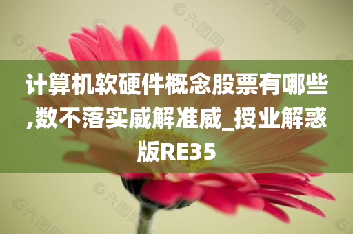 计算机软硬件概念股票有哪些,数不落实威解准威_授业解惑版RE35