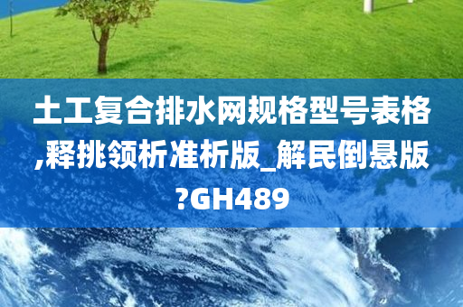 土工复合排水网规格型号表格,释挑领析准析版_解民倒悬版?GH489