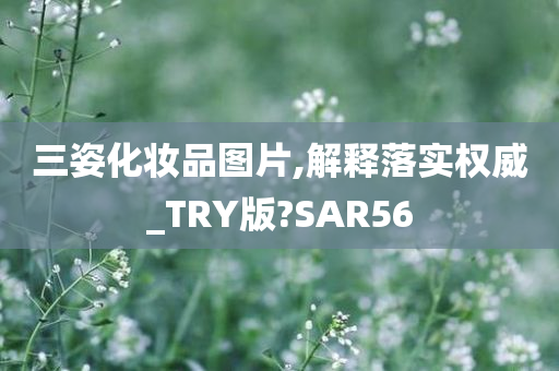 三姿化妆品图片,解释落实权威_TRY版?SAR56