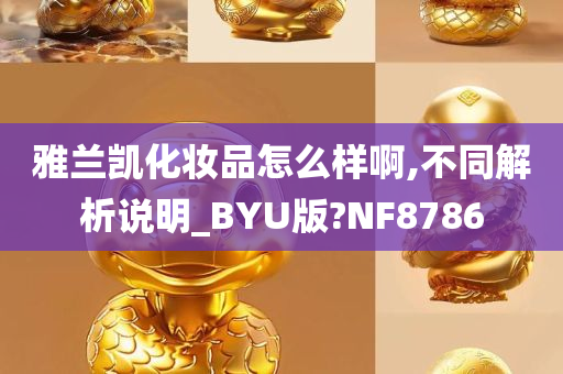 雅兰凯化妆品怎么样啊,不同解析说明_BYU版?NF8786