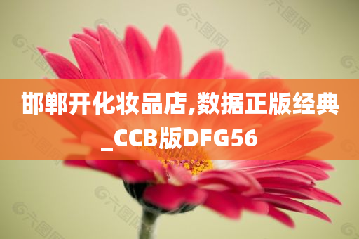 邯郸开化妆品店,数据正版经典_CCB版DFG56