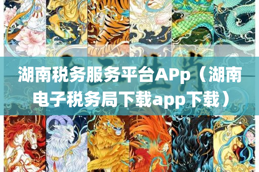 湖南税务服务平台APp（湖南电子税务局下载app下载）