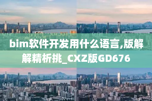 bim软件开发用什么语言,版解解精析挑_CXZ版GD676