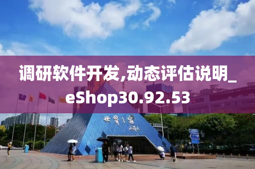 调研软件开发,动态评估说明_eShop30.92.53