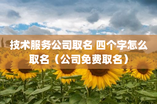 技术服务公司取名 四个字怎么取名（公司免费取名）