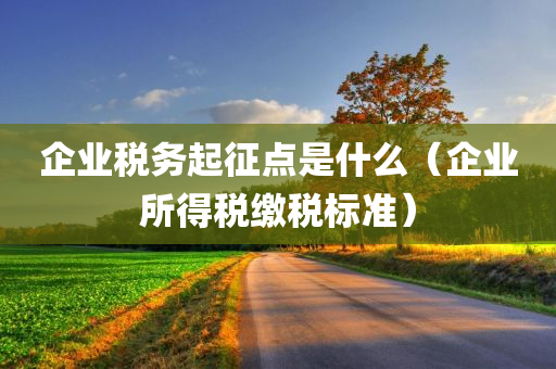 企业税务起征点是什么（企业所得税缴税标准）