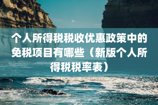 个人所得税税收优惠政策中的免税项目有哪些（新版个人所得税税率表）