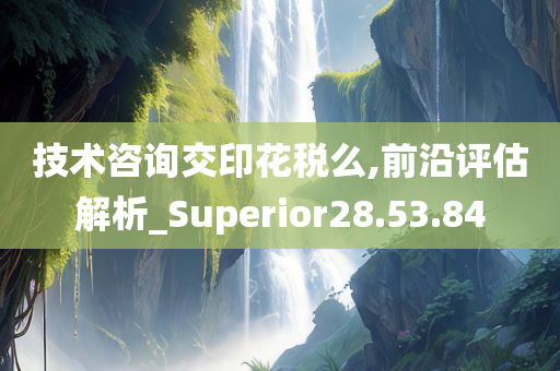 技术咨询交印花税么,前沿评估解析_Superior28.53.84