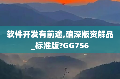 软件开发有前途,确深版资解品_标准版?GG756