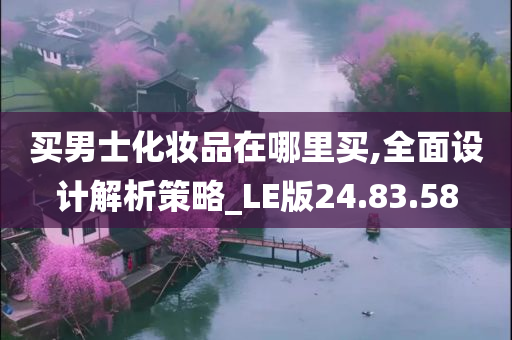 买男士化妆品在哪里买,全面设计解析策略_LE版24.83.58