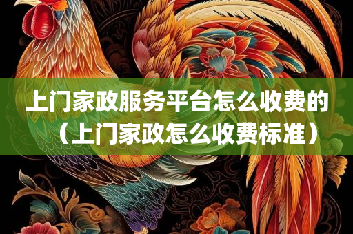 上门家政服务平台怎么收费的（上门家政怎么收费标准）