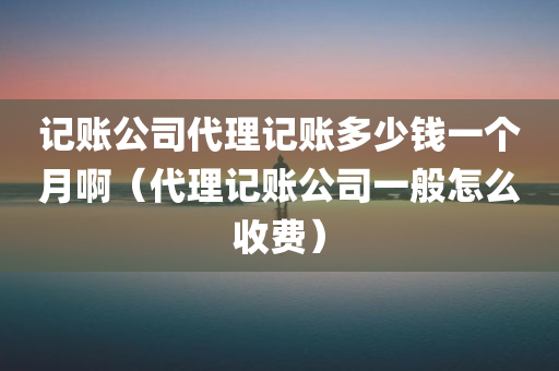 记账公司代理记账多少钱一个月啊（代理记账公司一般怎么收费）