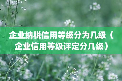 企业纳税信用等级分为几级（企业信用等级评定分几级）