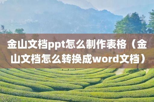 金山文档ppt怎么制作表格（金山文档怎么转换成word文档）