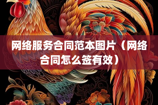 网络服务合同范本图片（网络合同怎么签有效）