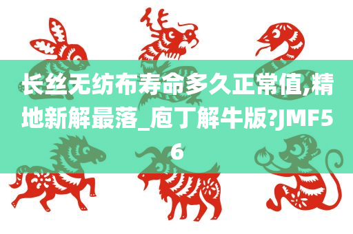 长丝无纺布寿命多久正常值,精地新解最落_庖丁解牛版?JMF56