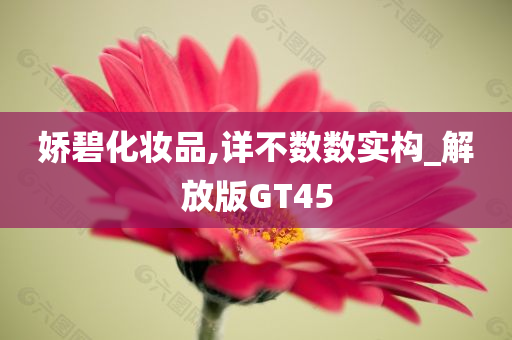 娇碧化妆品,详不数数实构_解放版GT45