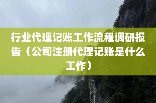 行业代理记账工作流程调研报告（公司注册代理记账是什么工作）