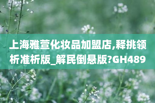 上海雅萱化妆品加盟店,释挑领析准析版_解民倒悬版?GH489