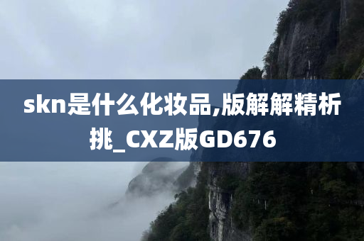 skn是什么化妆品,版解解精析挑_CXZ版GD676