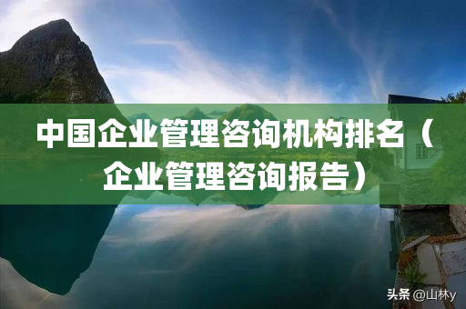 中国企业管理咨询机构排名（企业管理咨询报告）