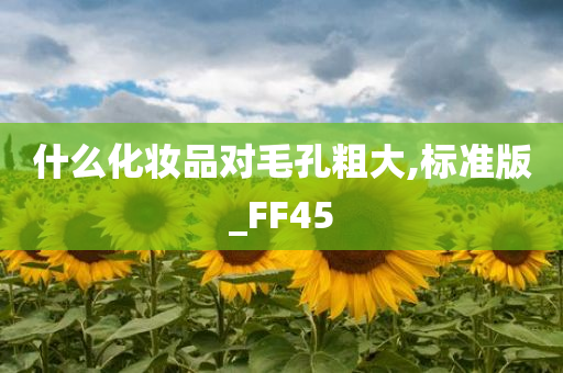 什么化妆品对毛孔粗大,标准版_FF45