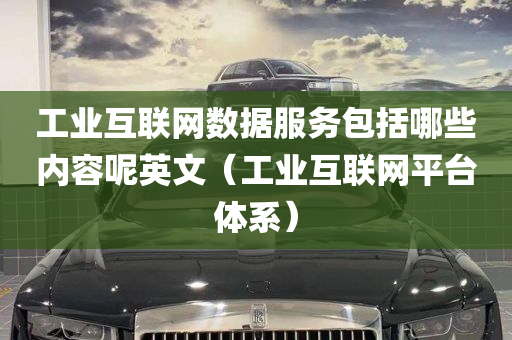 工业互联网数据服务包括哪些内容呢英文（工业互联网平台体系）