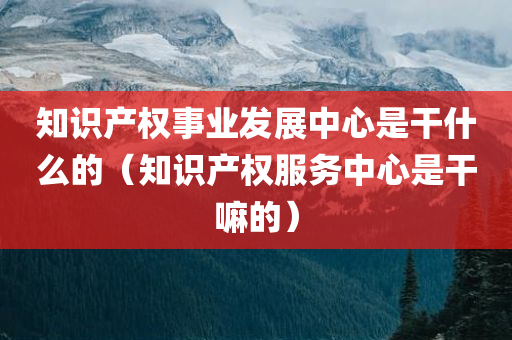 知识产权事业发展中心是干什么的（知识产权服务中心是干嘛的）