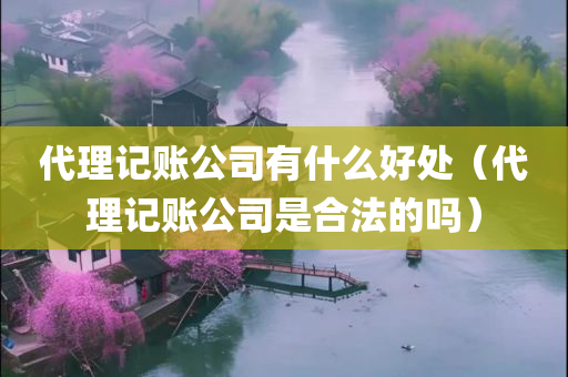 代理记账公司有什么好处（代理记账公司是合法的吗）