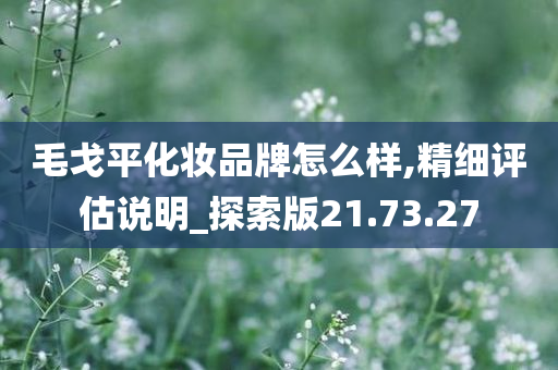 毛戈平化妆品牌怎么样,精细评估说明_探索版21.73.27