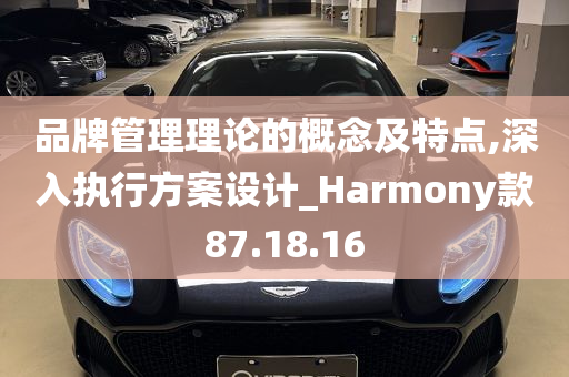 品牌管理理论的概念及特点,深入执行方案设计_Harmony款87.18.16