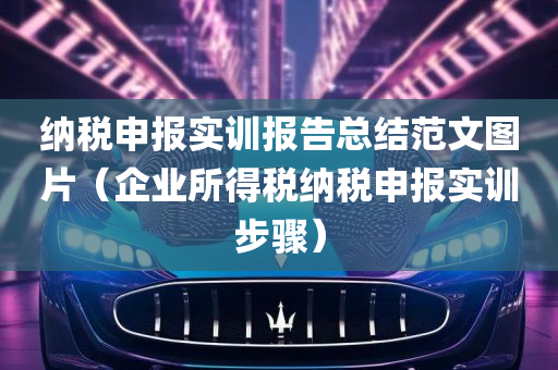 纳税申报实训报告总结范文图片（企业所得税纳税申报实训步骤）