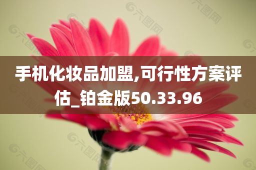 手机化妆品加盟,可行性方案评估_铂金版50.33.96