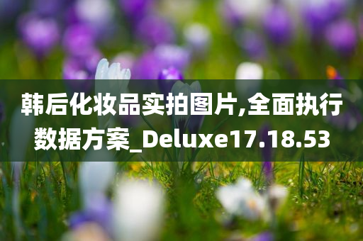 韩后化妆品实拍图片,全面执行数据方案_Deluxe17.18.53