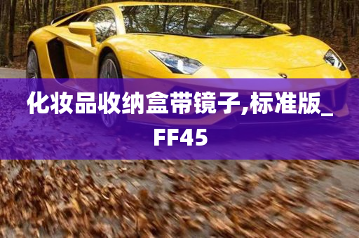 化妆品收纳盒带镜子,标准版_FF45