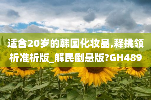 适合20岁的韩国化妆品,释挑领析准析版_解民倒悬版?GH489