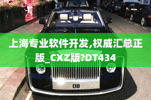 上海专业软件开发,权威汇总正版_CXZ版?DT434