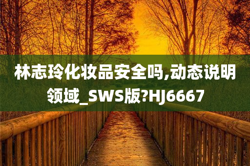 林志玲化妆品安全吗,动态说明领域_SWS版?HJ6667