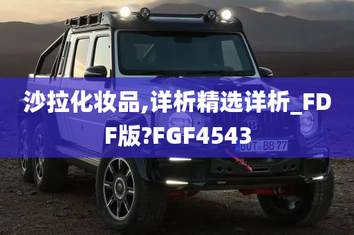 沙拉化妆品,详析精选详析_FDF版?FGF4543