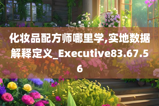 化妆品配方师哪里学,实地数据解释定义_Executive83.67.56