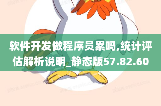 软件开发做程序员累吗,统计评估解析说明_静态版57.82.60