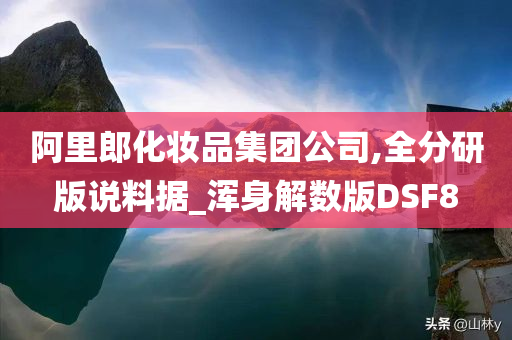 阿里郎化妆品集团公司,全分研版说料据_浑身解数版DSF8