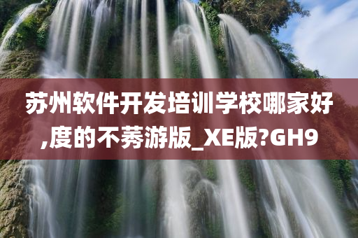 苏州软件开发培训学校哪家好,度的不莠游版_XE版?GH9